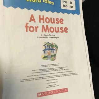 a house for mouse