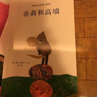 绨莉和高墙