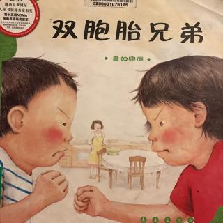 双胞胎兄弟