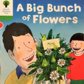 DD 2-11A big binch of flowers