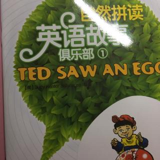 2016/12/14，ted saw and egg