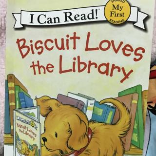 Biscuit loves the library