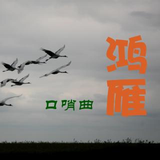 【哨帅音乐第18期】一样的《鸿雁》，不一样的悠扬