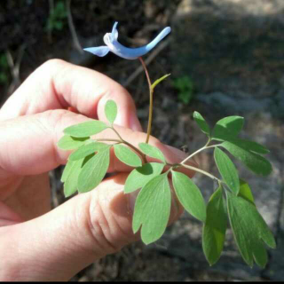 邵琪:吃苦的意义在哪里