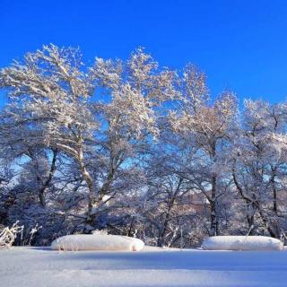 第一场雪 峻青