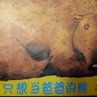 一只想当爸爸的熊🐻