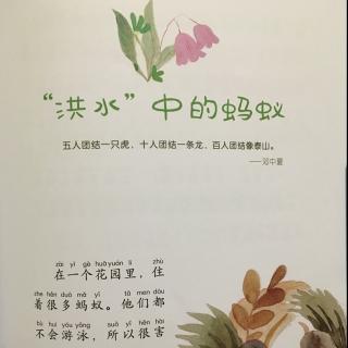 我有很多好朋友——14.“洪水”中的蚂蚁