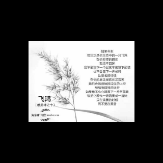 童话诗唯美神系列之十-飞鸿