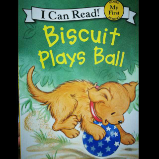 Biscuit-play ball