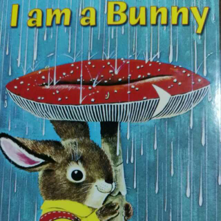 I  am a Bunny 《我是一只小兔子》
