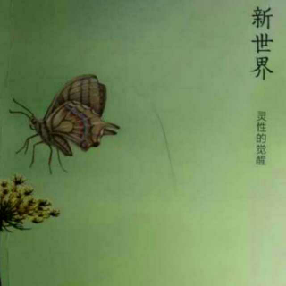 存真心理有声书《新世界灵性的觉醒》第5期