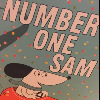 Number One Sam I (老师阅读1）