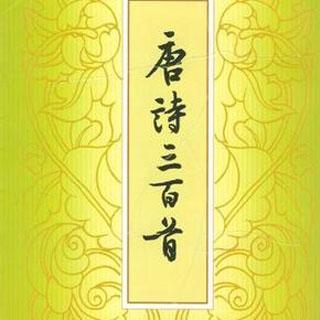 唐诗三百首015 《西施咏》 王维