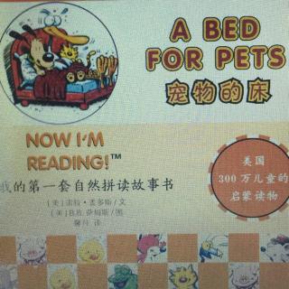 a bed for pets