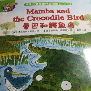 Mamba and the crocodile bird