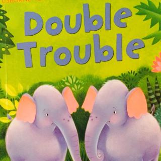 doubletrouble20161216