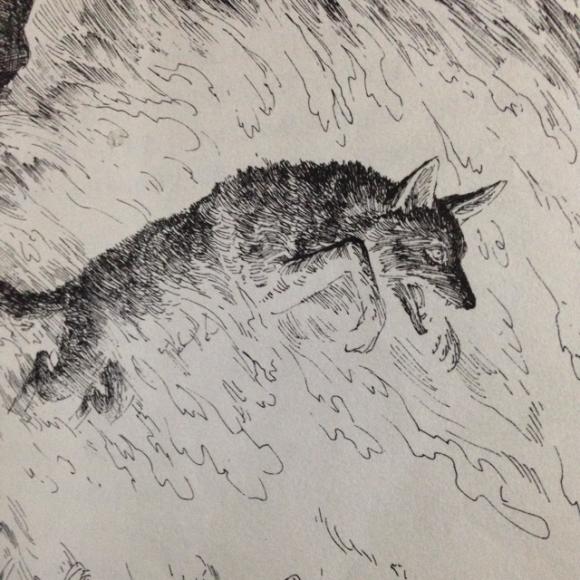 【《牧羊神豹》火豺】在线收听_衎衎的世界_荔枝fm