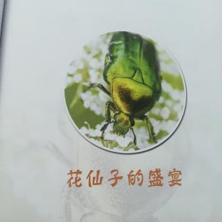 法布尔昆虫记花金龟花仙子的盛宴
