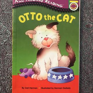 Otto the cat小猫奥托