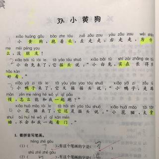 《小黄狗》