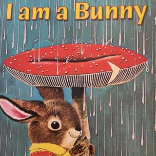 I am a Bunny 英文版（原音+慢速）