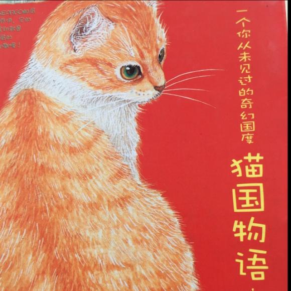 猫国物语--吉娜