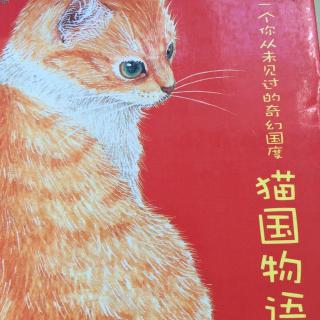 猫国物语--马龙