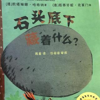 石头底下藏着什么