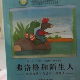 弗洛格和陌生人