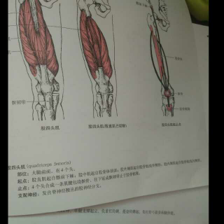 是什么在伤害您的膝关节