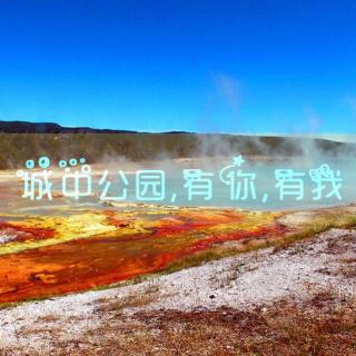 美国之旅 | 城中公园,有你，有我