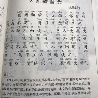 13 凿壁借光 西京杂记