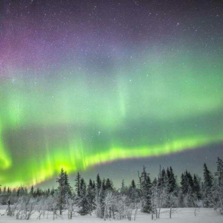 爱情比万年不化的冰雪还圣洁