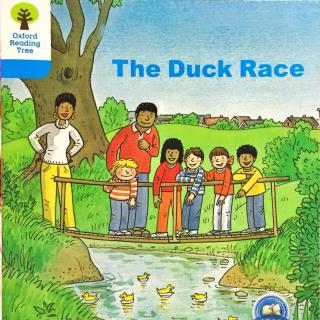 3-1 The duck race