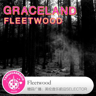 糖蒜爱音乐之The Selector：Fleetwood