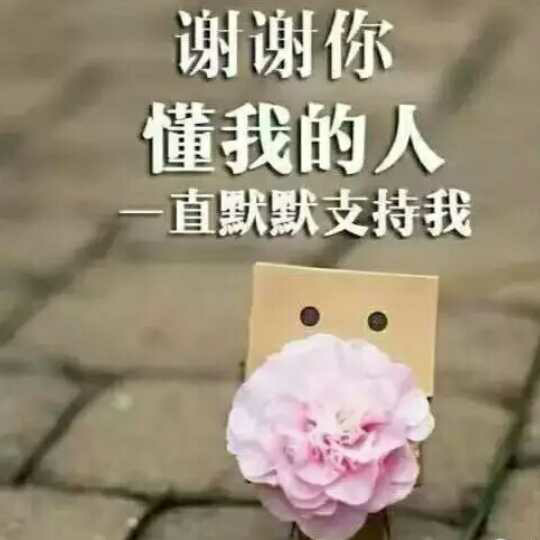 蓝色生死恋(八音盒)