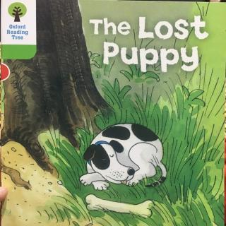 The lost puppy-by Dora