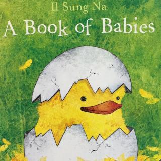 【中英双语故事】男神麻读故事-A book of babies宝宝们的书