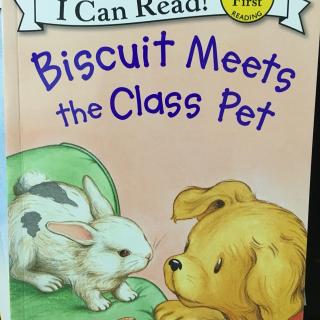 Biscuit meets the class pet