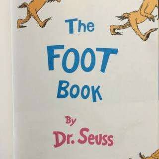 the foot book