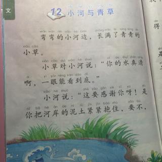 小河与青草