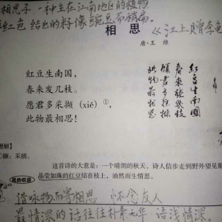 我爱古诗词《相思》