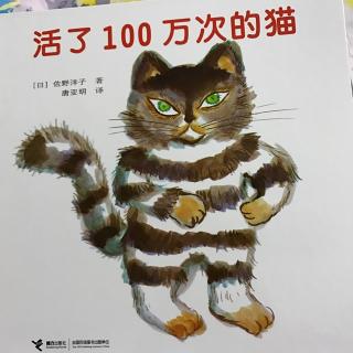 活了100万次的猫