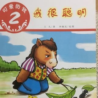 我很聪明