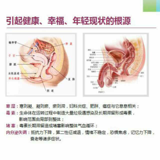 人一生的追求！（健康，年轻，幸福的问题所在）