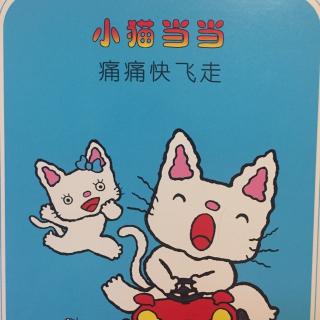 小猫当当 痛痛快飞走