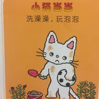 小猫当当 洗澡澡，玩泡泡