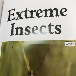 Extreme  insects