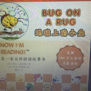 bug on a rug