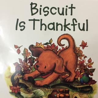 Biscuit is Thankful